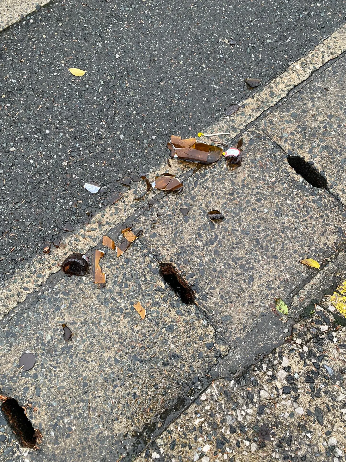 福岡市城南区のラーメン屋🍜